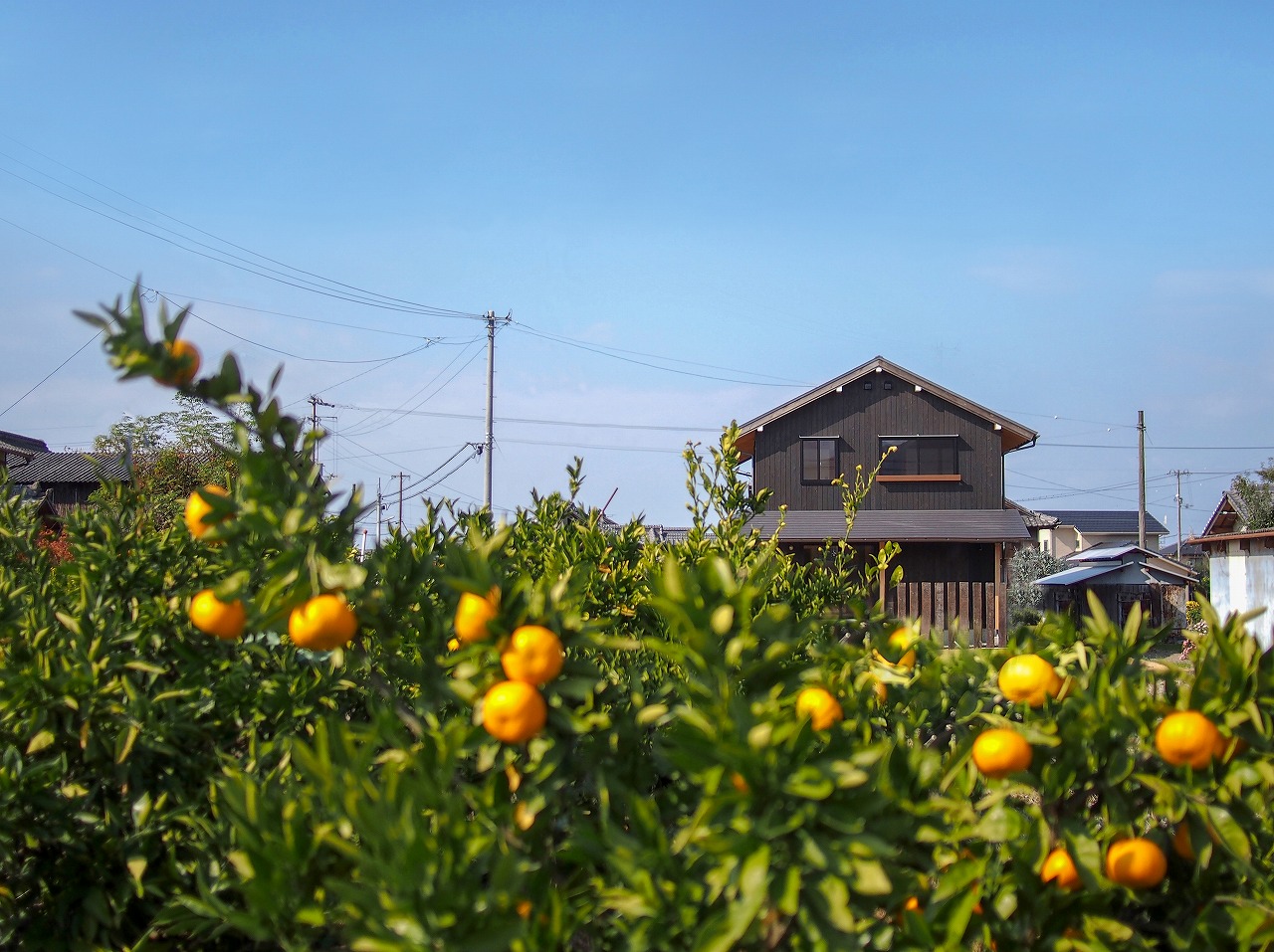 粟井の風景の中に・・・ 讃岐舎01