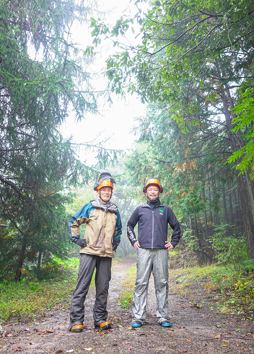 大黒柱伐採ツアー2025