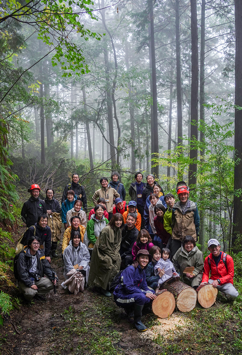 大黒柱伐採ツアー2025