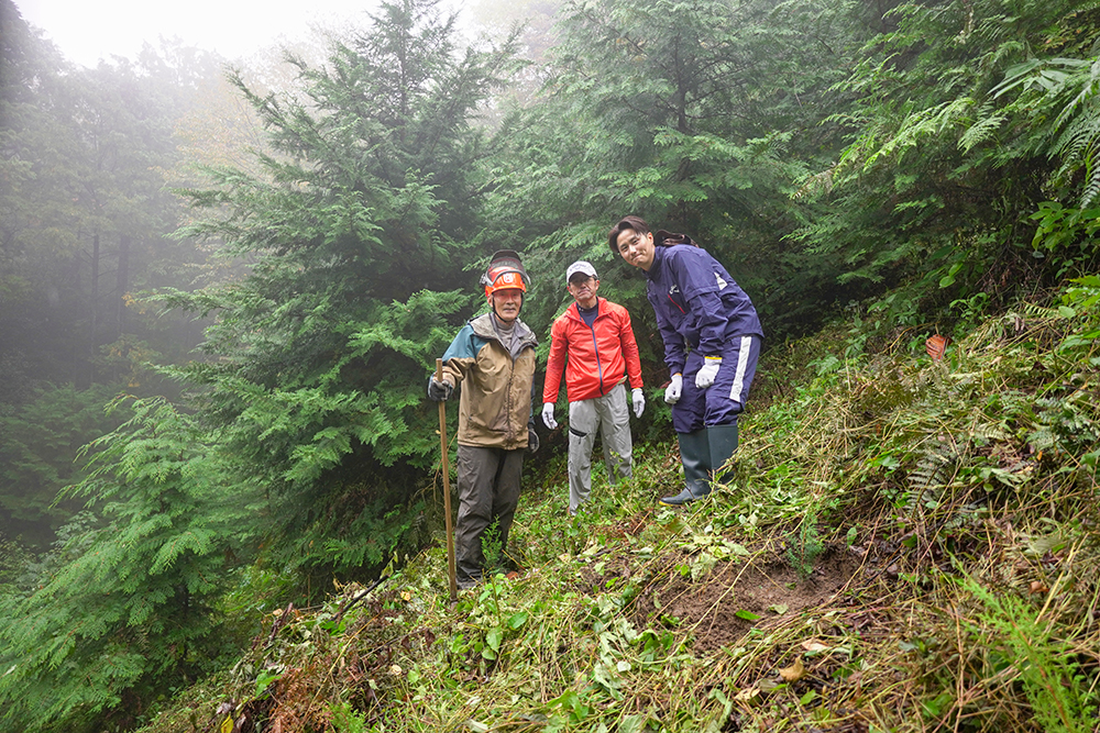 大黒柱伐採ツアー2025